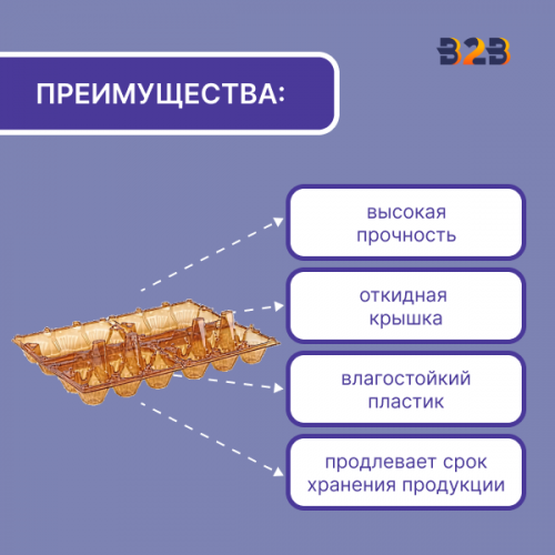 Упаковка для куриных яиц, 12 ячеек (пластик)