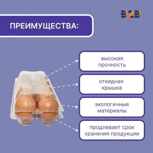 Упаковка для куриных яиц, 10 ячеек, прямоугольная (пластик)