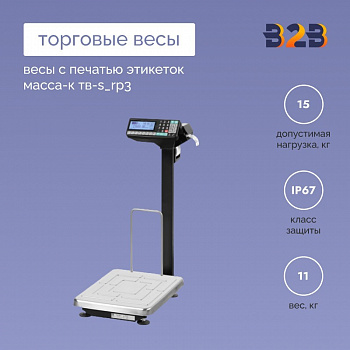 Весы с печатью этикеток МАССА-К ТВ-S_RP3